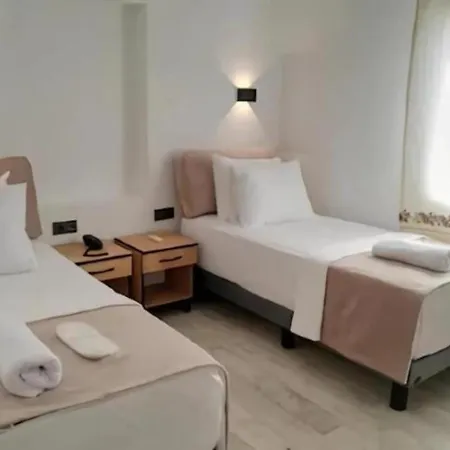 The Professor's Бодрум