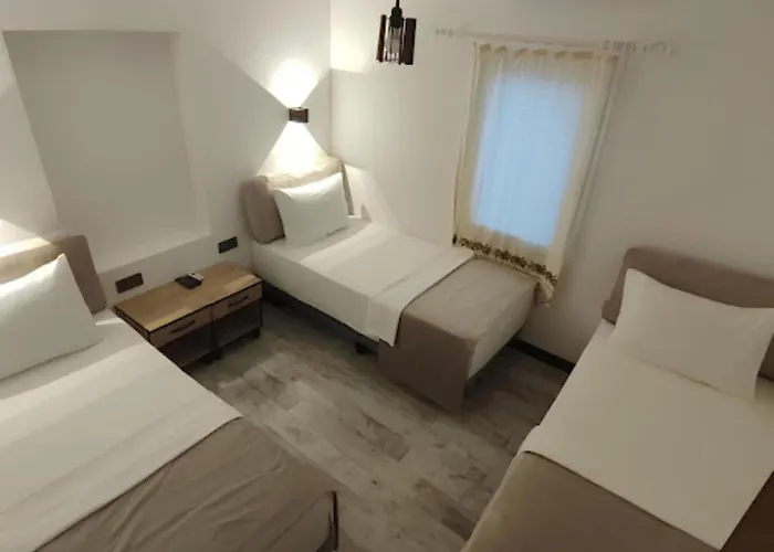 The Professor's * Bodrum